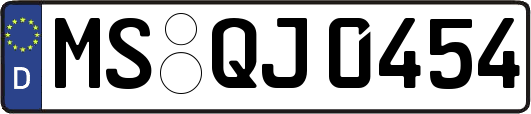 MS-QJ0454