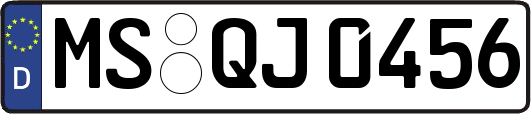 MS-QJ0456