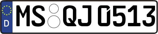 MS-QJ0513