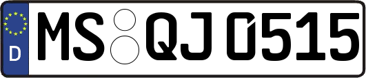 MS-QJ0515