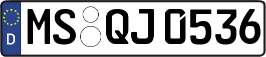 MS-QJ0536