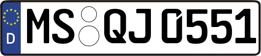 MS-QJ0551