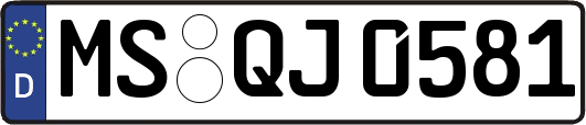 MS-QJ0581