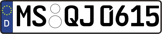 MS-QJ0615