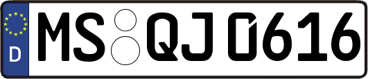 MS-QJ0616