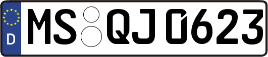 MS-QJ0623