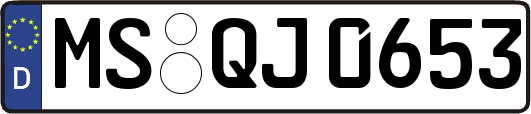 MS-QJ0653