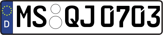 MS-QJ0703