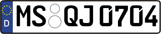 MS-QJ0704