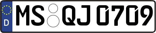 MS-QJ0709