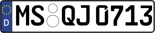 MS-QJ0713
