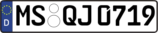 MS-QJ0719