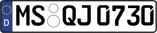 MS-QJ0730