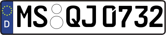 MS-QJ0732