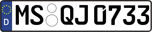 MS-QJ0733