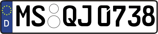 MS-QJ0738