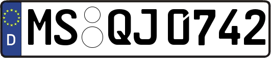 MS-QJ0742