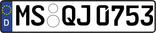 MS-QJ0753