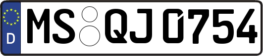 MS-QJ0754