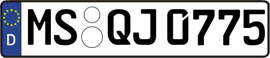 MS-QJ0775