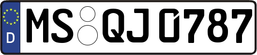 MS-QJ0787