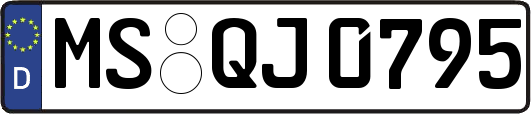 MS-QJ0795