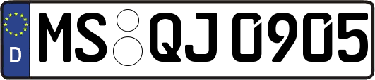 MS-QJ0905