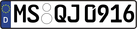 MS-QJ0916