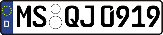 MS-QJ0919