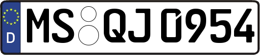 MS-QJ0954