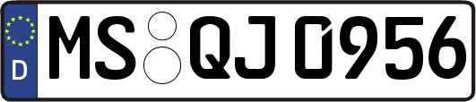 MS-QJ0956