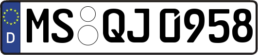MS-QJ0958