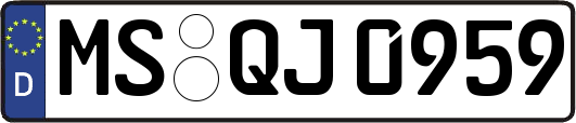 MS-QJ0959