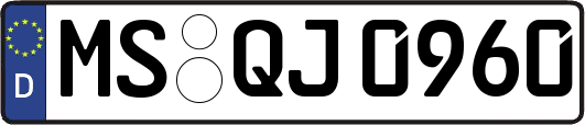 MS-QJ0960