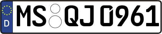 MS-QJ0961