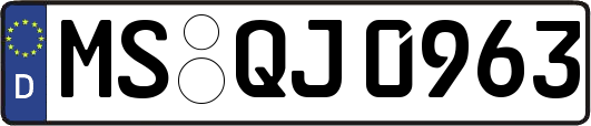 MS-QJ0963