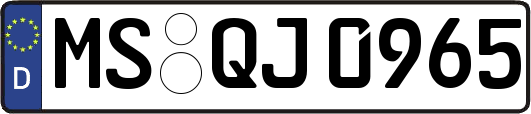 MS-QJ0965