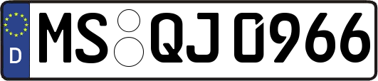 MS-QJ0966