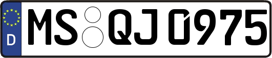 MS-QJ0975