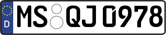 MS-QJ0978