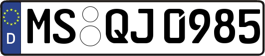 MS-QJ0985