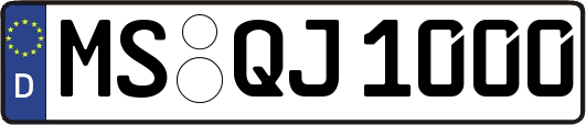 MS-QJ1000