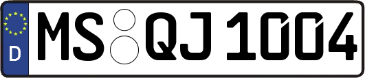 MS-QJ1004