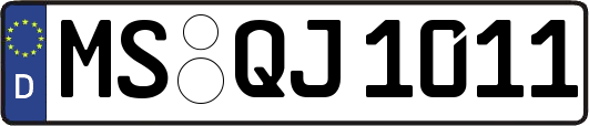 MS-QJ1011