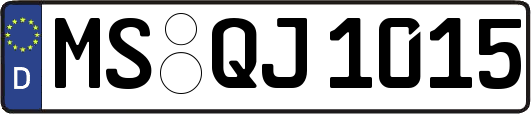 MS-QJ1015