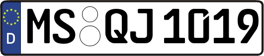 MS-QJ1019