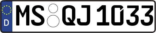 MS-QJ1033