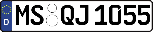 MS-QJ1055