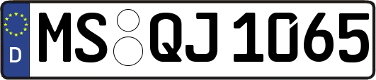 MS-QJ1065
