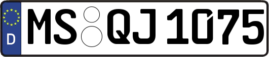 MS-QJ1075